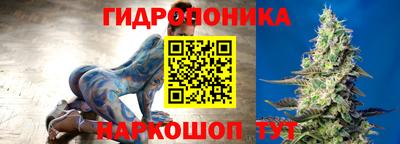 индика Апшеронск