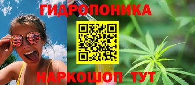 крисы Апрелевка