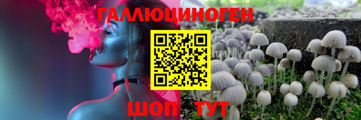 Галлюциногенные грибы MAGIC MUSHROOMS Большой Камень